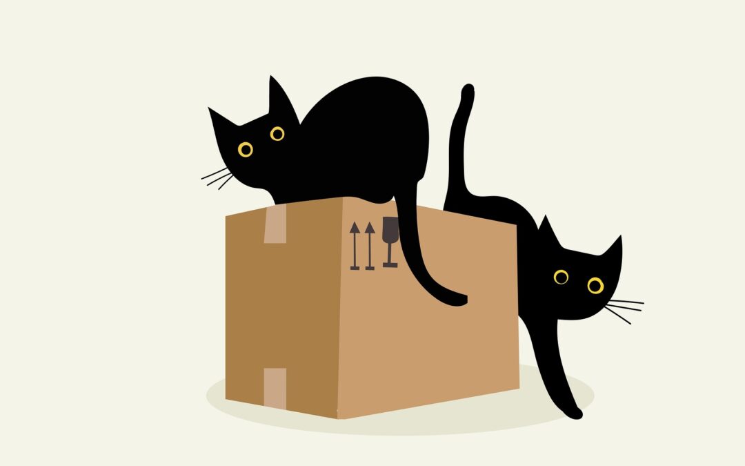 Animal en location ou copropriété : droits, limites et responsabilité