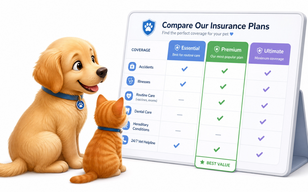 Comment choisir une assurance chien chat sans se tromper ?